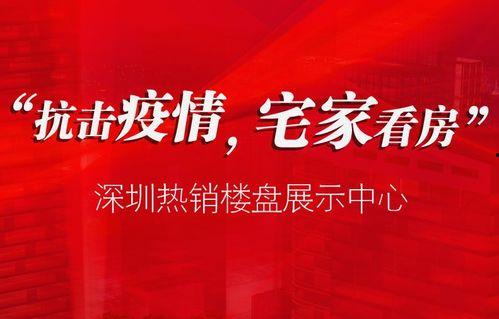早安爆料深圳新闻网最新,早安爆料，最新资讯速递  第3张